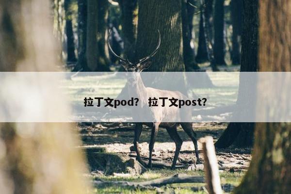 拉丁文pod？ 拉丁文post？