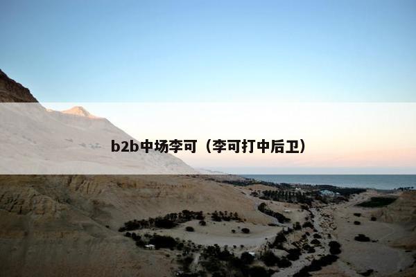 b2b中场李可（李可打中后卫）