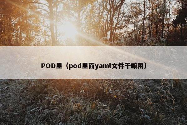 POD里（pod里面yaml文件干嘛用）