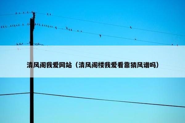清风阁我爱网站（清风阁楼我爱看靠猜风谱吗）