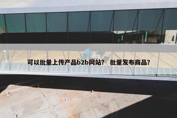 可以批量上传产品b2b网站？ 批量发布商品？
