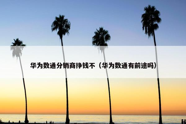华为数通分销商挣钱不（华为数通有前途吗）