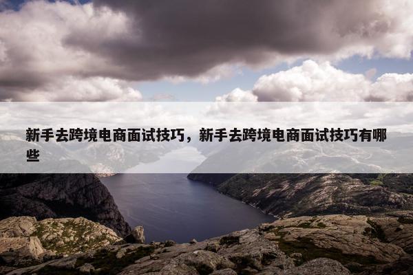 新手去跨境电商面试技巧，新手去跨境电商面试技巧有哪些