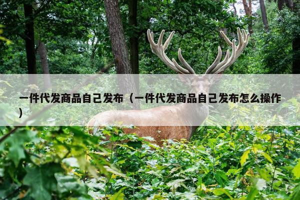 一件代发商品自己发布（一件代发商品自己发布怎么操作）