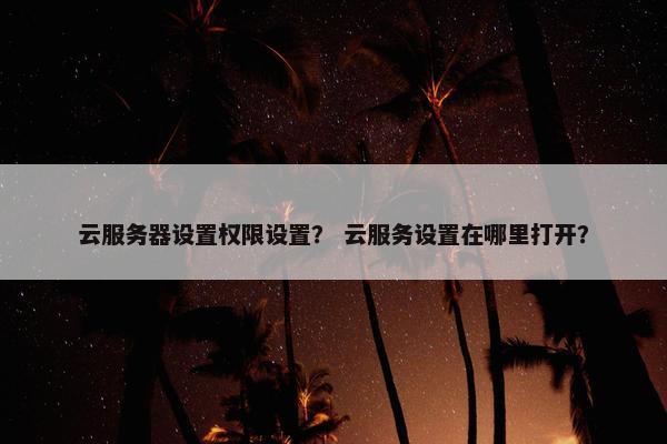 云服务器设置权限设置？ 云服务设置在哪里打开？