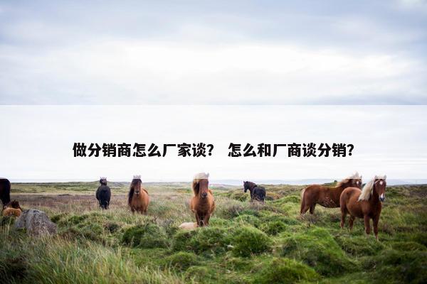 做分销商怎么厂家谈？ 怎么和厂商谈分销？