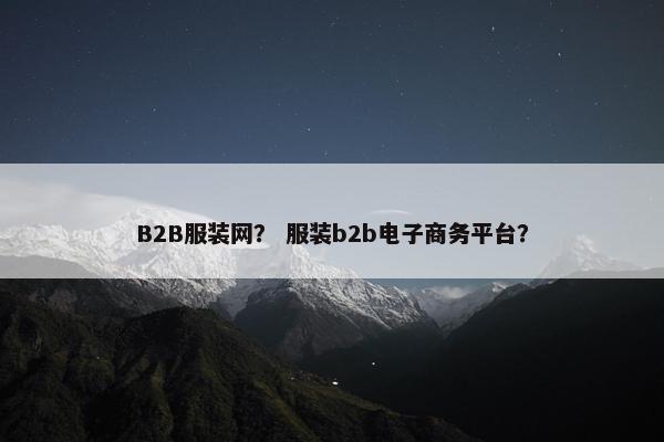 B2B服装网？ 服装b2b电子商务平台？