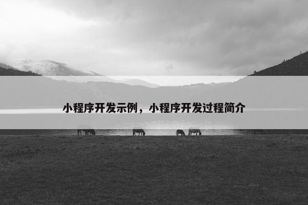 小程序开发示例，小程序开发过程简介