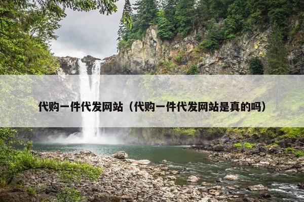 代购一件代发网站（代购一件代发网站是真的吗）