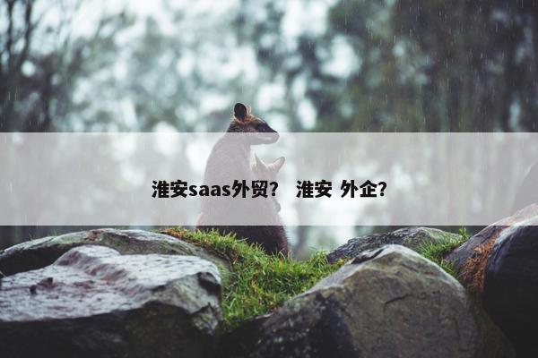 淮安saas外贸？ 淮安 外企？