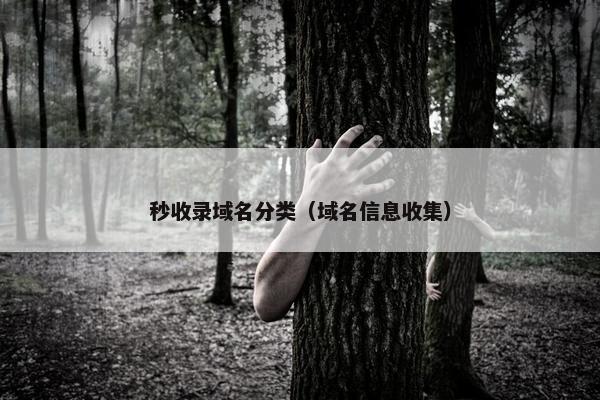 秒收录域名分类（域名信息收集）