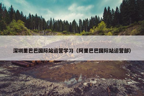深圳里巴巴国际站运营学习（阿里巴巴国际站运营部）