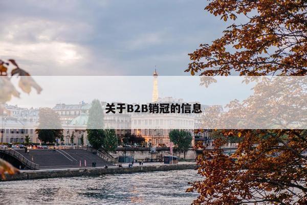 关于B2B销冠的信息