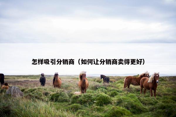 怎样吸引分销商（如何让分销商卖得更好）