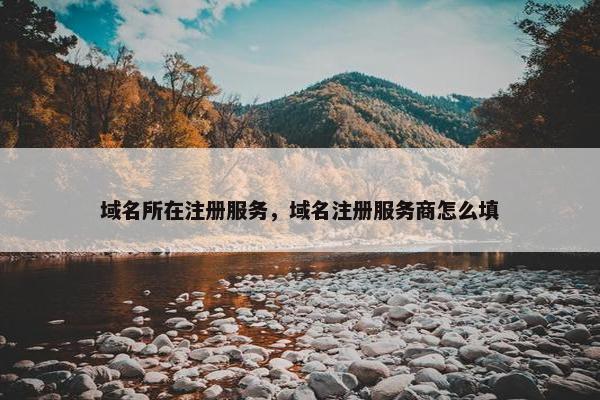 域名所在注册服务，域名注册服务商怎么填