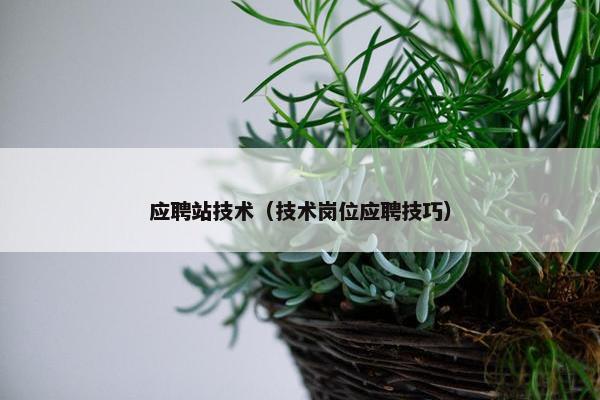 应聘站技术（技术岗位应聘技巧）