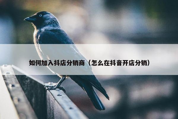 如何加入抖店分销商（怎么在抖音开店分销）