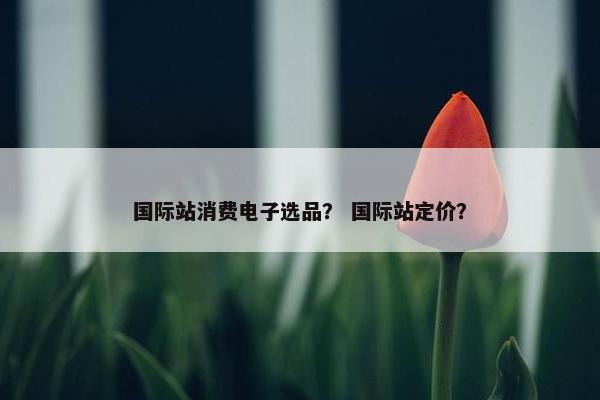 国际站消费电子选品？ 国际站定价？