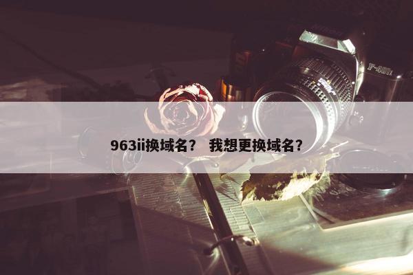 963ii换域名？ 我想更换域名？