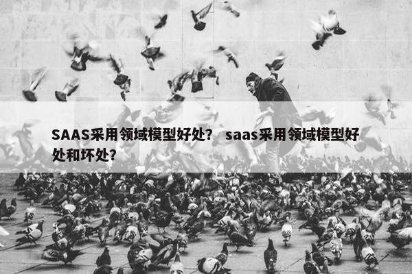 SAAS采用领域模型好处？ saas采用领域模型好处和坏处？