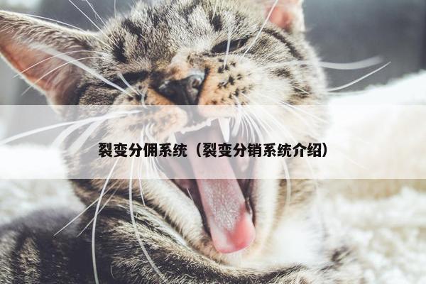 裂变分佣系统（裂变分销系统介绍）