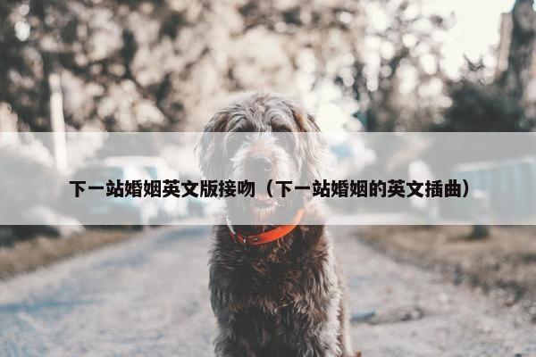 下一站婚姻英文版接吻（下一站婚姻的英文插曲）