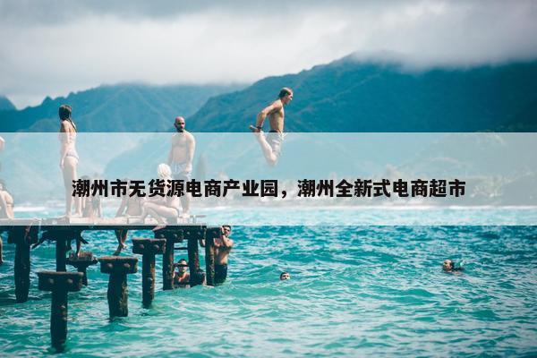 潮州市无货源电商产业园，潮州全新式电商超市
