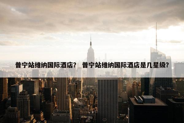 普宁站维纳国际酒店？ 普宁站维纳国际酒店是几星级？