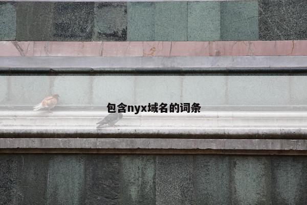 包含nyx域名的词条