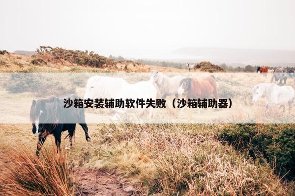 沙箱安装辅助软件失败（沙箱辅助器）