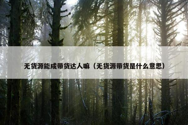 无货源能成带货达人嘛（无货源带货是什么意思）
