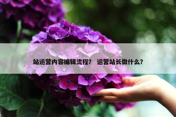 站运营内容编辑流程？ 运营站长做什么？