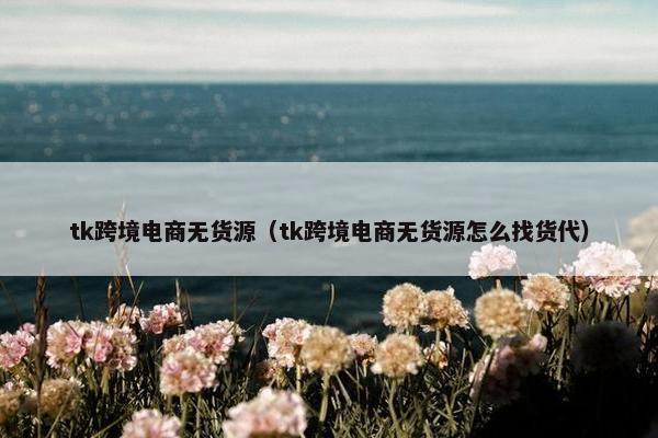 tk跨境电商无货源（tk跨境电商无货源怎么找货代）