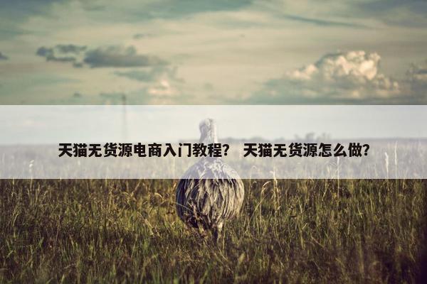 天猫无货源电商入门教程？ 天猫无货源怎么做？