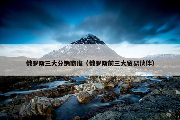 俄罗斯三大分销商谁（俄罗斯前三大贸易伙伴）
