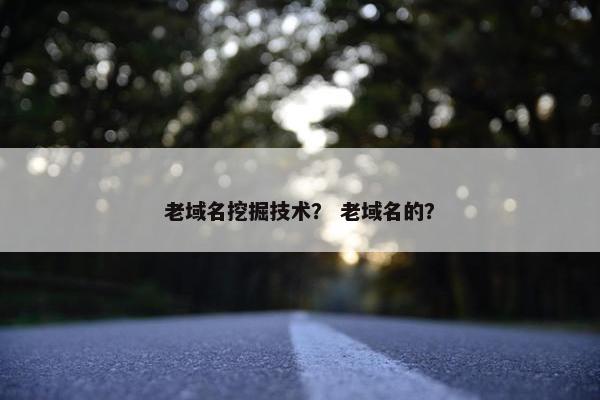 老域名挖掘技术？ 老域名的？