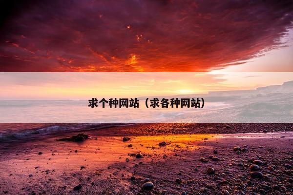 求个种网站（求各种网站）