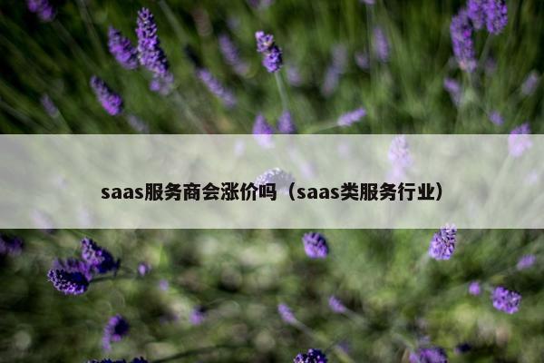 saas服务商会涨价吗（saas类服务行业）