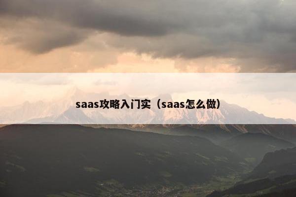 saas攻略入门实（saas怎么做）