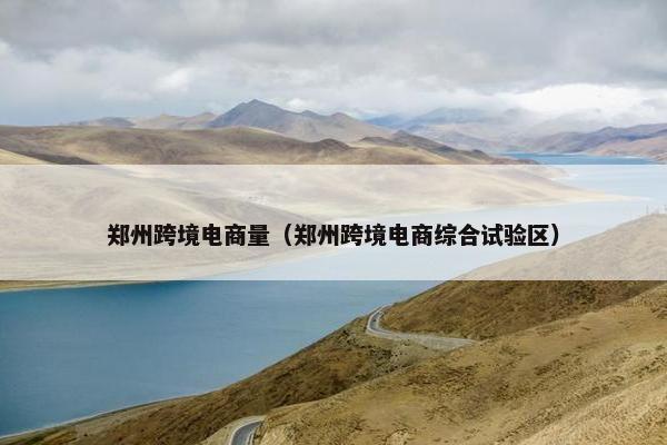 郑州跨境电商量（郑州跨境电商综合试验区）