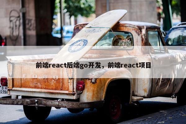 前端react后端go开发，前端react项目