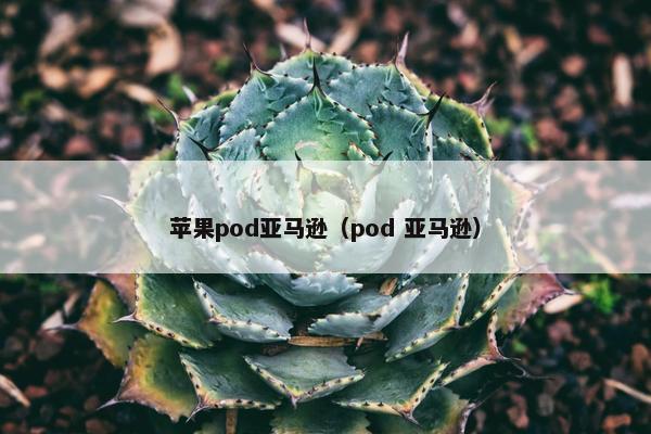苹果pod亚马逊（pod 亚马逊）