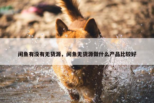 闲鱼有没有无货源，闲鱼无货源做什么产品比较好