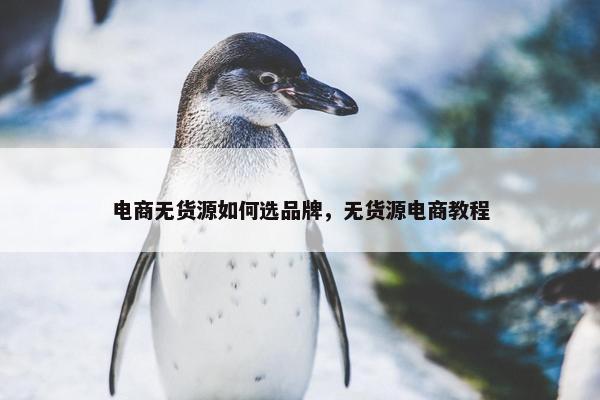 电商无货源如何选品牌，无货源电商教程
