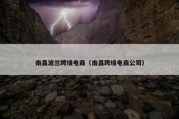 南昌波兰跨境电商（南昌跨境电商公司）