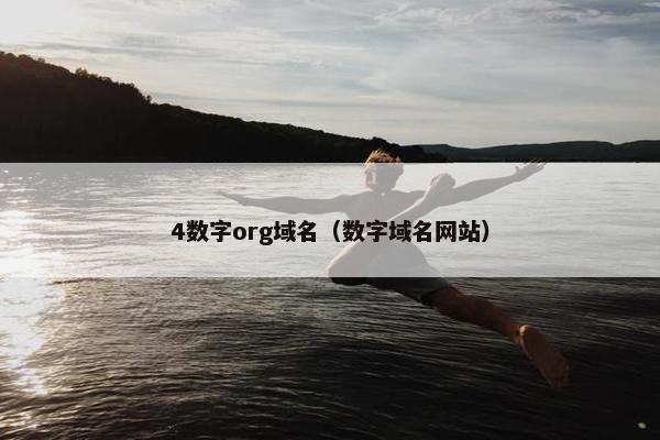 4数字org域名（数字域名网站）