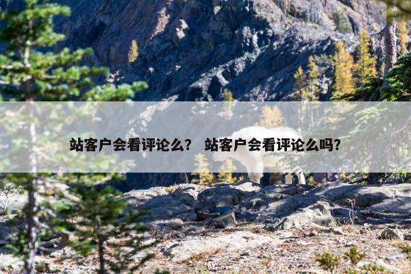 站客户会看评论么？ 站客户会看评论么吗？