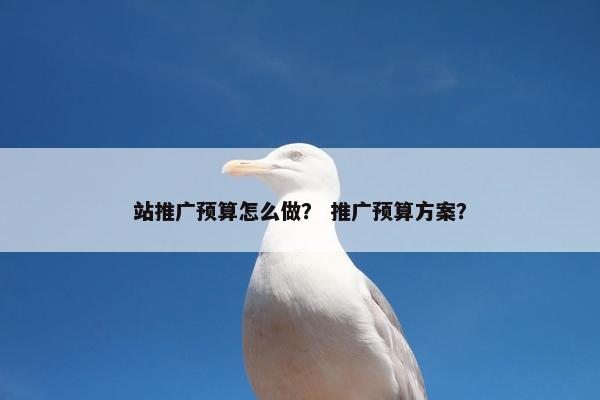 站推广预算怎么做？ 推广预算方案？