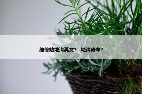 维修站地沟英文？ 地沟修车？