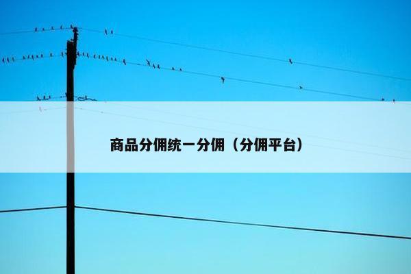 商品分佣统一分佣（分佣平台）